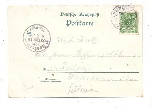 NIEDERSCHLESIEN - BAD REINERZ / DUSZNIKI ZDROJ, Lithographie 1899, Bade Hotel Germania, Douche, Musiksaal, Wandelbahn