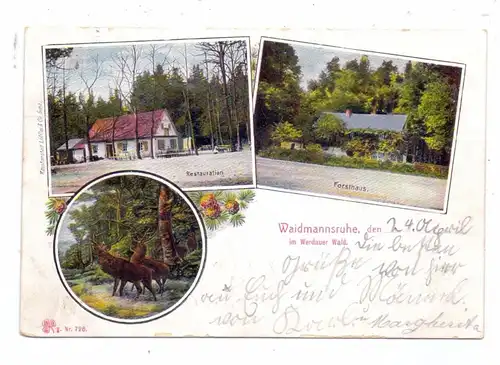 0-9620 WERDAU, Waidmannsruhe, 1910