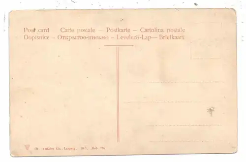 CH 3792 SAANEN BE, Kirche, 1905, Trenkler - Leipzig, kl. Druckstelle