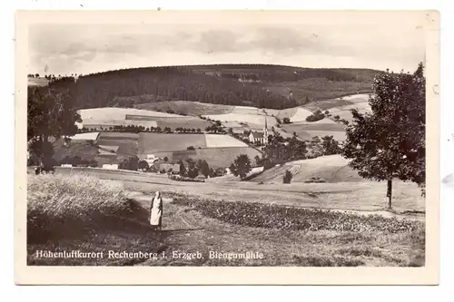 0-9213 RECHENBERG - BIENENMÜHLE, Panorama Bienenmühle, 1953