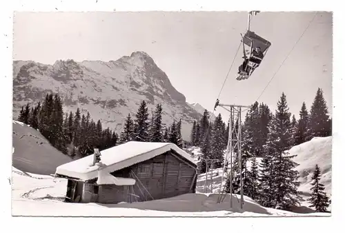 CH 3818 GRINDELWALD BE, Bergbahn Grindelwald - First, Eiger, 1953