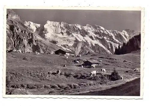 CH 3816 LÜTSCHENTAL, Winteregg, Mittelberg, Ebnefluh, Mittaghorn, Grosshorn, 1960