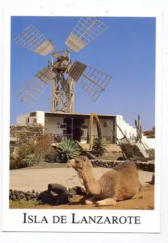WINDMÜHLEN / Mills / Molen / Moulin - LANZAROTE, Villa Agricola