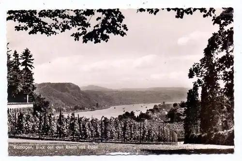 5480 REMAGEN, Blick auf den Rhein und Erpel