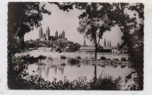 6720 SPEYER, Blick über den Rhein, 1952, franz. Militärpost, Edit.: ESTEL - Paris