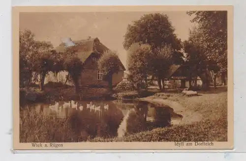 0-2362 WIEK / Rügen, Idyll am Dorfteich