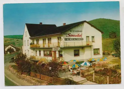 6252 DIEZ - GISSELBACH - GIERSHAUSEN, Haus Sonnenhof, rücks. leichter Abrieb