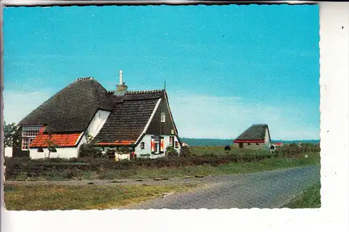 NL - NOORD-HOLLAND - TEXEL, De Westen, Het Torenhuis, 1964