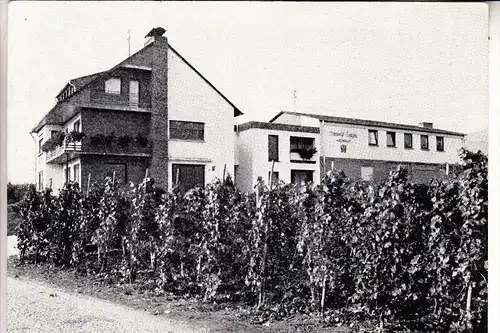 5563 KRÖV, Weingut Diewald-Fritzen