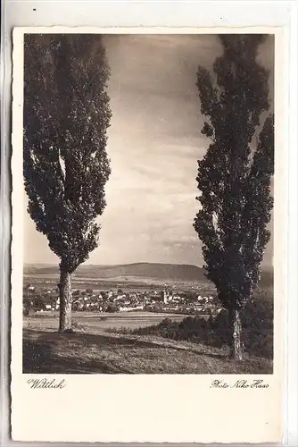 5560 WITTLICH, Panorama, Niko Haas, 1937