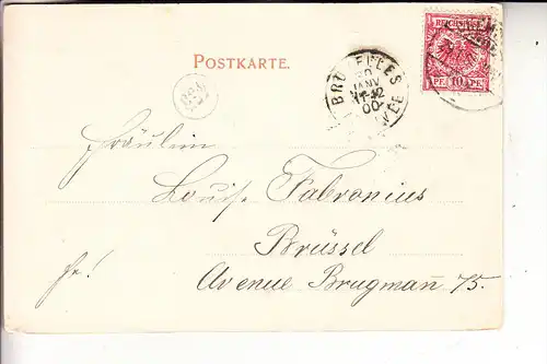 0-9000 CHEMNITZ, Schlossteich, 1900