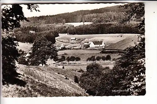 3559 LICHTENFELS - DALWIGKSTHAL, Panorama, 1956