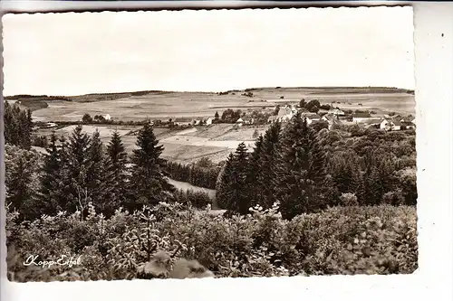 5530 GEROLSTEIN - KOPP, Panorama