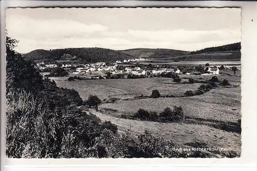 5540 PRÜM - NIEDERPRÜM, Panorama