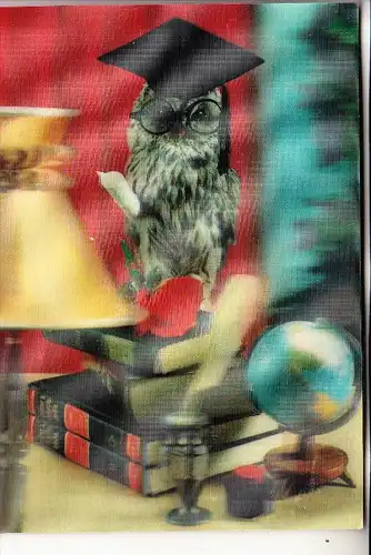 TIERE - VÖGEL - EULE / OWL / UHU / OEHOE / HIBOU - 3D