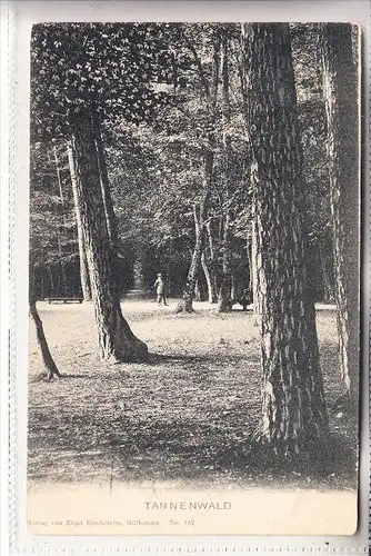 0-5700 MÜHLHAUSEN, Tannenwald, ca. 1905