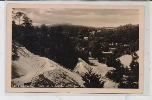 0-1310 BAD FREIENWALDE, Blick ins Brunnental, 1937