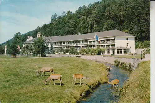 F 57560 ABRESCHVILLER, Centre Medical Departemental Saint-Luc