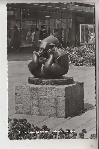 NL - ZUID-HOLLAND, ROTTERDAM, Lijnebaan, Spelende beertjes, 1963