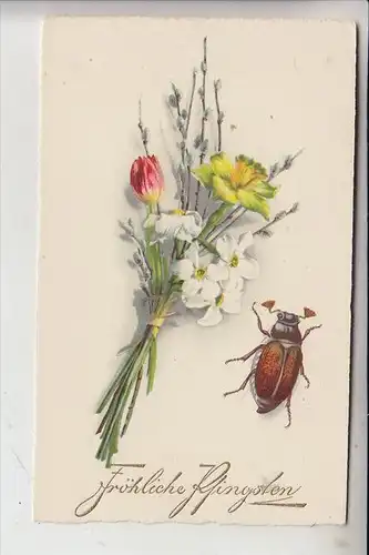 PFINGSTEN - MAIKÄFER, Blumenstrauss