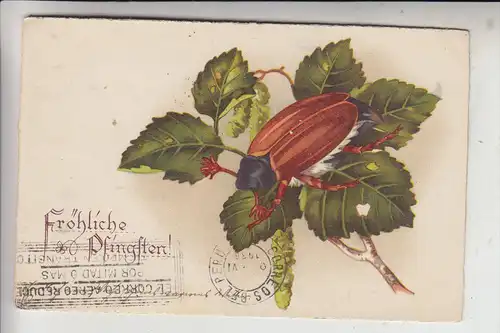 PFINGSTEN - MAIKÄFER, 1938