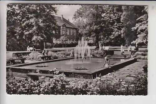 3490 BAD DRIBURG, Kurpark, 1957