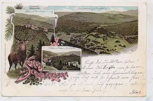 0-6825 SCHWARZBURG, Lithographie 1899, Schwarzburg vom Tripstein, Schloß, Terrasse, Kirschwiese...