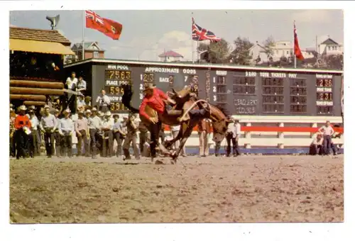 CANADA - ALBERTA - CALGARY, Calgary Stampede