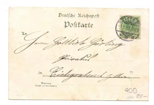 0-8800 ZITTAU, Lithographie 1899, Meinau Restaurant, Kath. Kirche, Rathaus, Gesamtansicht