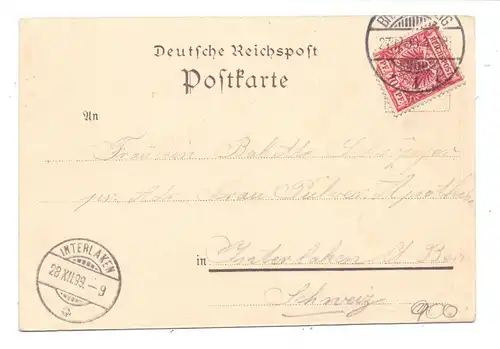 3300 BRAUNSCHWEIG, Lithographie, 1899, Hoftheater, Sieges-Denkmal, Totalansicht