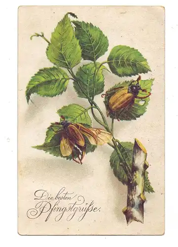 PFINGSTEN - Maikäfer auf Birkenblättern, 1928