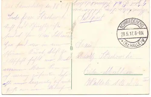 0-4603 BAD SCHMIEDEBERG, Kurhaus, Schwäne, 1917, Feldpost