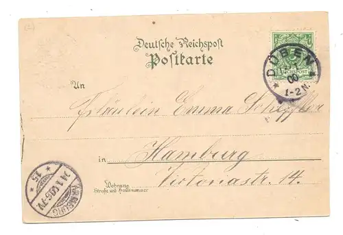 0-7282 BAD DÜBEN, Lithographie 1900
