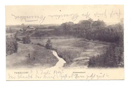 2401 RATEKAU - PANSDORF, Mühlenschlucht, 1905