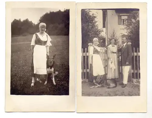 TIERE - HUNDE - SCHÄFERHUND, 2 Photo-AK, 1919