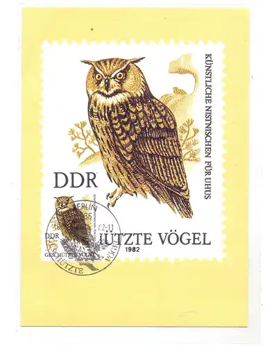 VÖGEL - EULEN / Owls / Buho / Hibou / Uil / Gufo - UHU, DDR-Maximumkarte