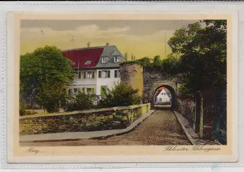 6508 ALZEY, Schlossgasse, Schlosstor, 1928