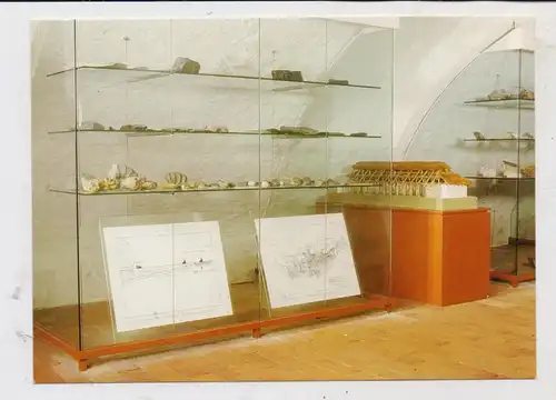 4712 WERNE, Stadtmuseum, Vor- ujnd Frühgeschichte