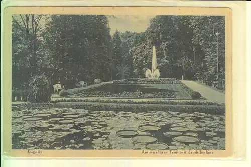 NIEDERSCHLESIEN - LIEGNITZ / LEGNICA, Am heizbaren Teich mit Leuchtfontäne