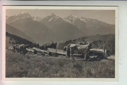 CH 7260 DAVOS, Wiesneralp