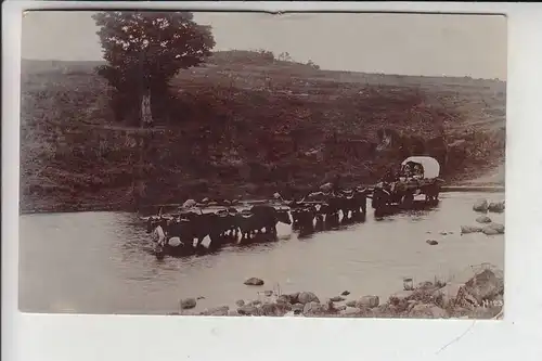 SÜDAFRIKA / South Africa - Boerentreck 1913, postmark BERLIN-South Africa