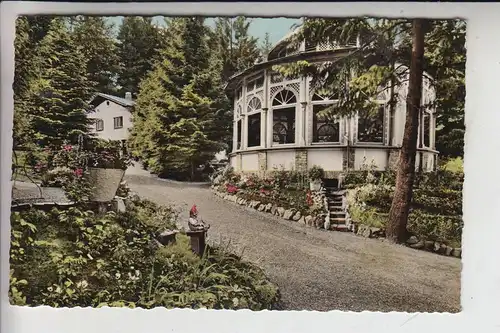 5250 ENGELSKIRCHEN - EHRESHOVEN - OBERSTAAT, Waldcafe "Bergische Schweiz"