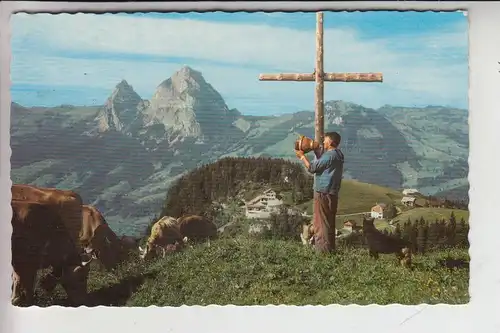 CH 6433 STOOS und die Mythen