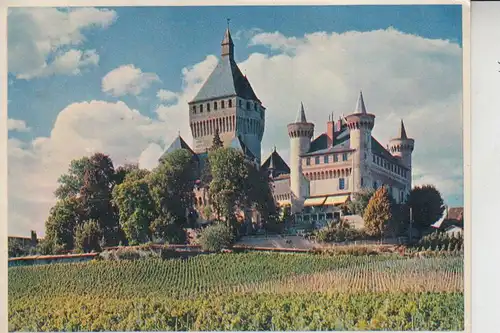 CH 1134 VUFFLENS - LE - CHATEAU, Schloss Vufflens 1954