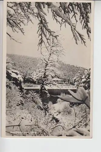 SCHLESIEN - NIEDERSCHLESIEN - FRIEDEBERG Seeschänke