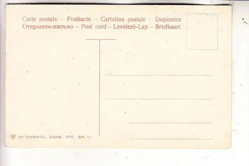 CH 3715 ADELBODEN, Gesamtansicht 1905