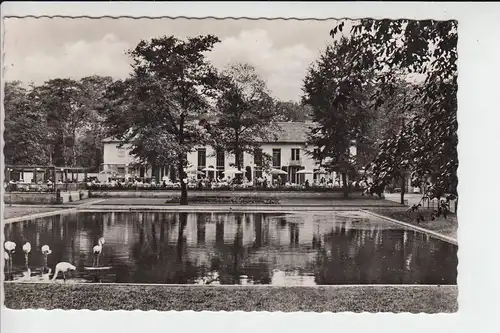 4100 DUISBURG, Tierpark - Zoo 1953