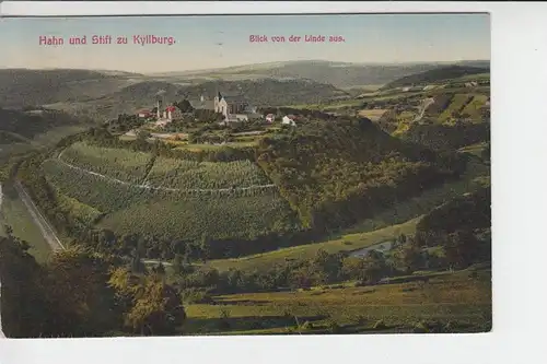 5524 KYLLBURG, Hahn und Stift zu Kyllburg, Blick von der Linde, 1924