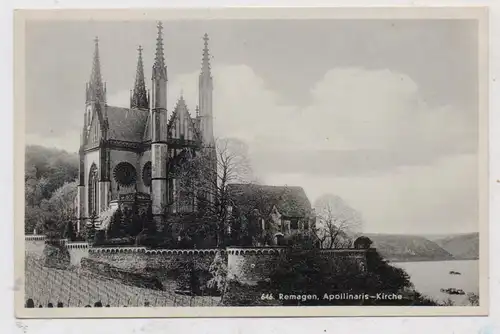 5480 REMAGEN, Apollinariskirche, Weinstöcke