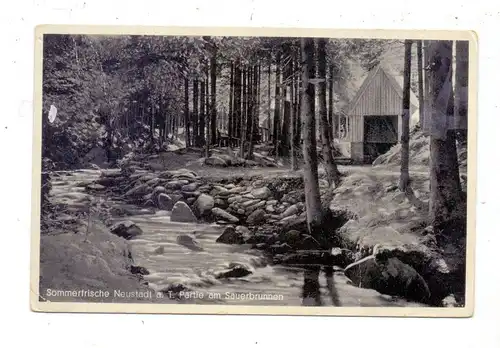 BÖHMEN & MÄHREN - NEUSTADT an der Tafelfichte /NOVE MESTO POD SMRKEM, Am Sauerbrunnen